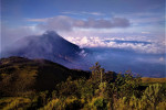 Mount Merbabu Trekking - Close to Nature Trips of Yogyakarta