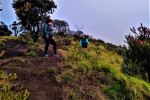 mt merbabu camping