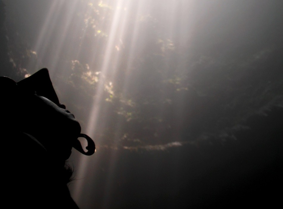 Jomblang Cave Adventure and Nglanggeran Ancient Volcano Short Trek from Yogyakarta
