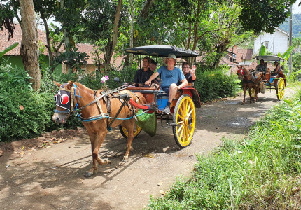 Borobudur Candirejo Village ( Horse Carriage )