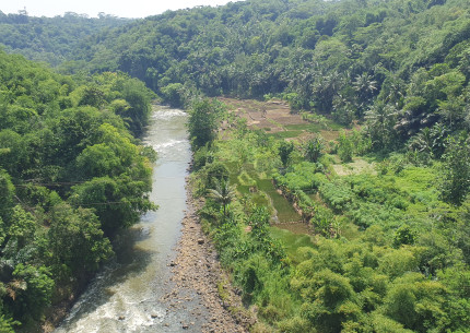 One Day Tour from Jakarta by Rail